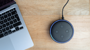 Amazon echo dot and laptop voice search results SEO